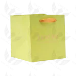 بگ